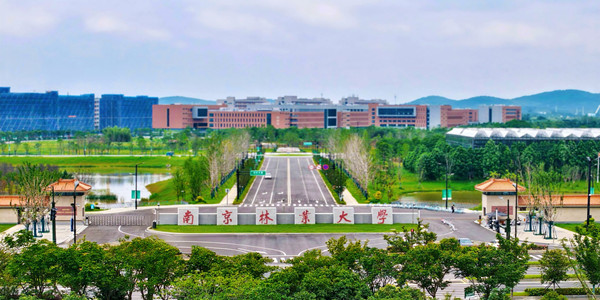 南京林业大学成人高考招生简章 南京林业大学成人高考招生简章