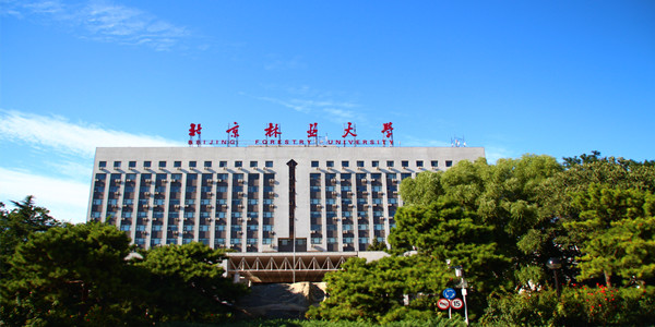 北京林业大学成人高考招生简章