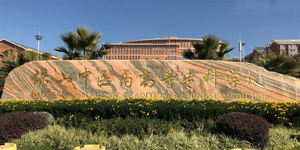 保山中医药高等专科学校成人高考招生简章
