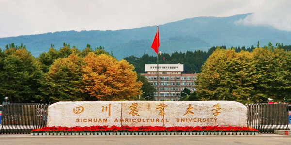 四川农业大学成人高考招生简章